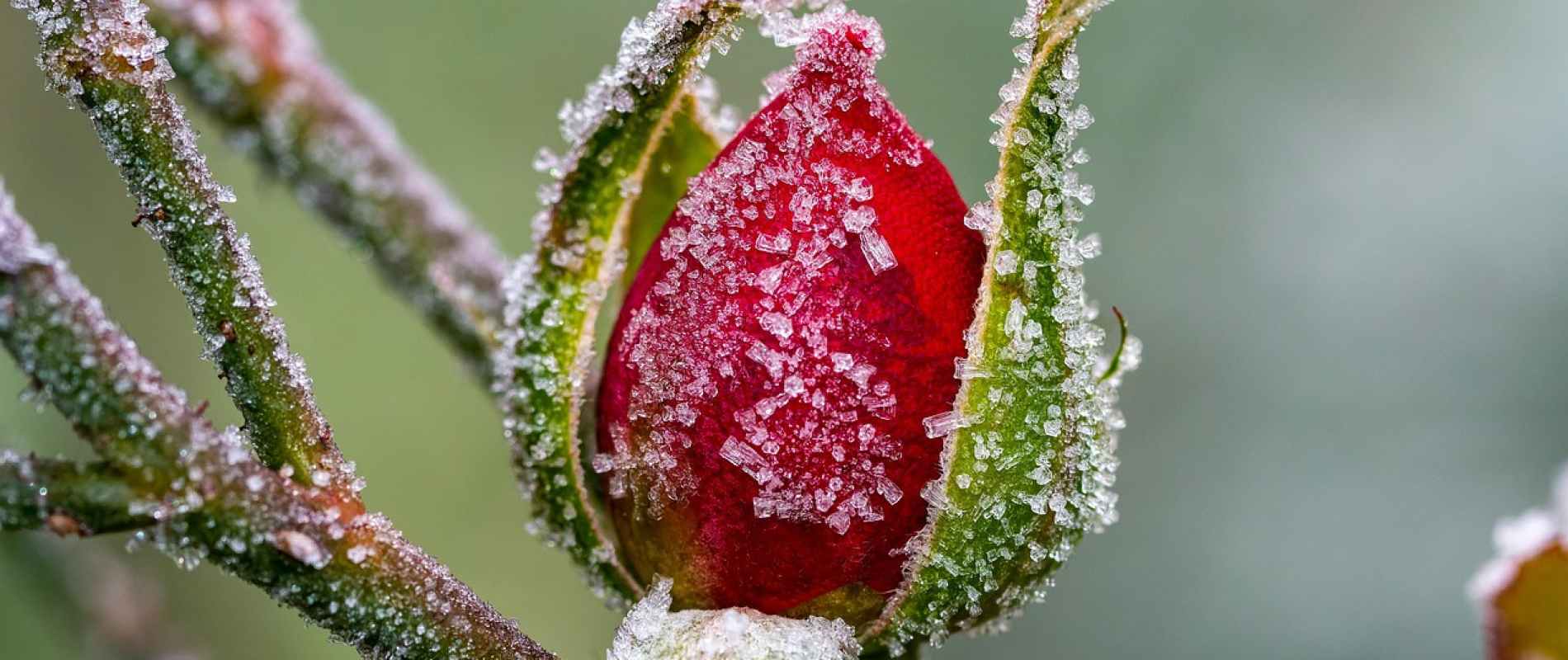 Jednodniowe rekolekcje w milczeniu, metodą Lectio Divina - 