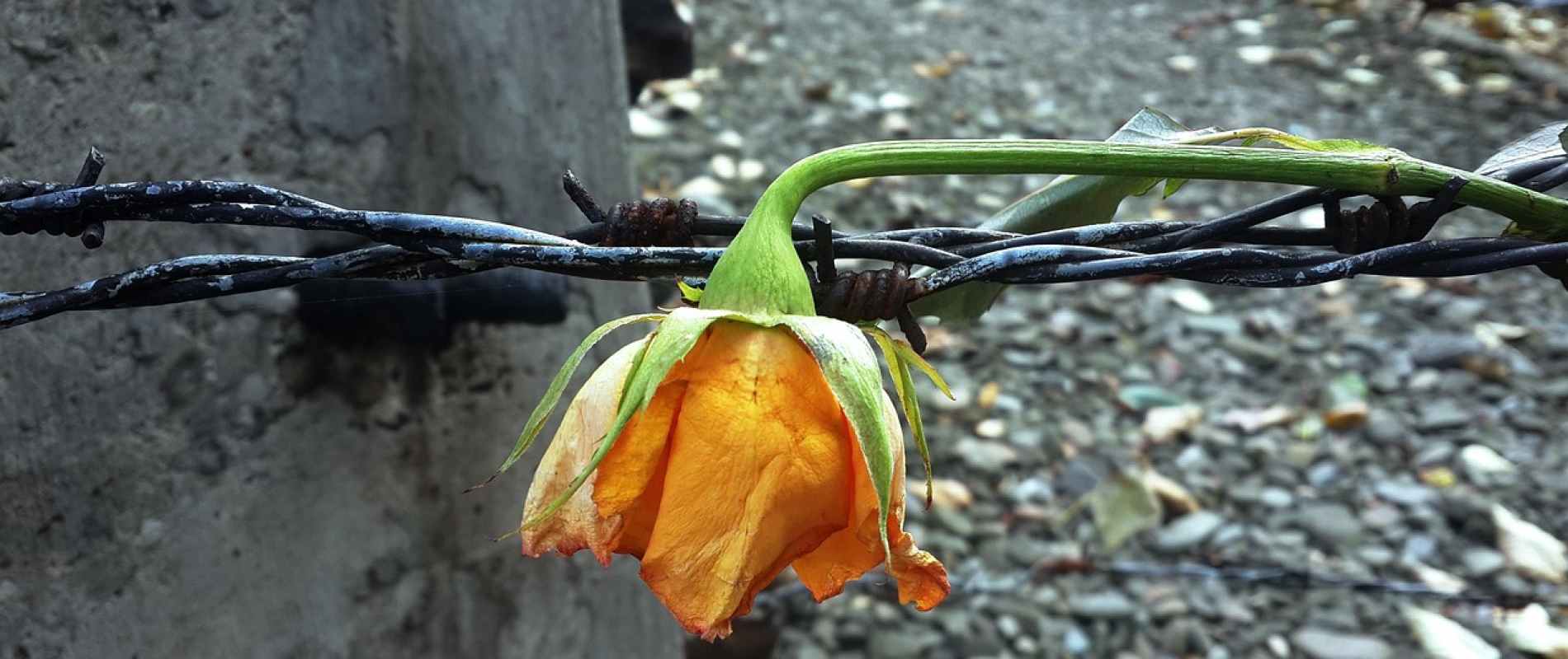 Jednodniowe rekolekcje w milczeniu, metodą Lectio Divina - Panie uzdrów miejsca 
