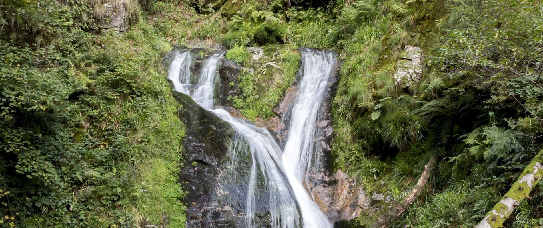 Jednodniowe rekolekcje w milczeniu, metodą Lectio Divina -