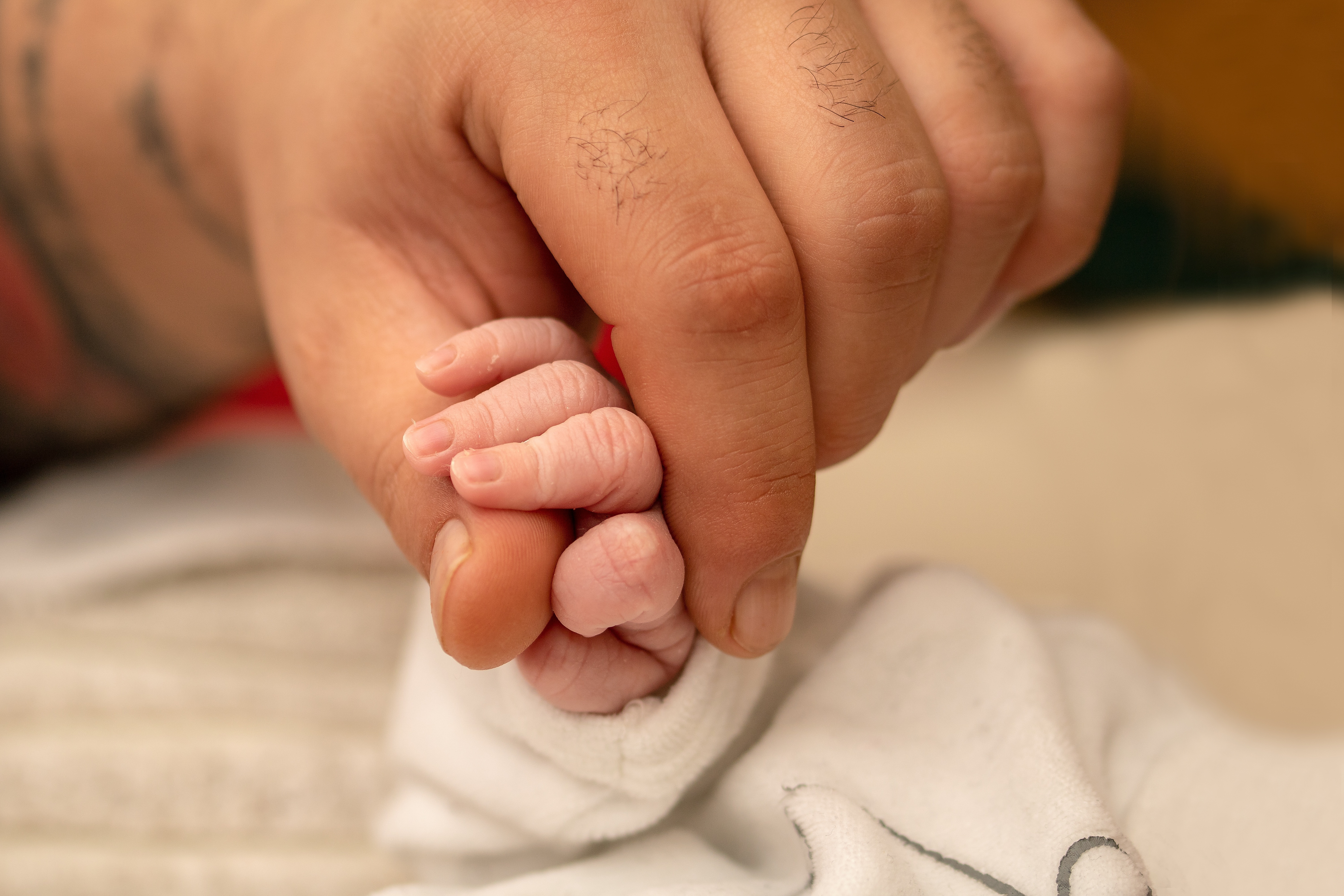 Jednodniowe rekolekcje w milczeniu, metodą Lectio Divina - "Panie, oto choruje ten którego Ty kochasz"(J 1, 1-44)